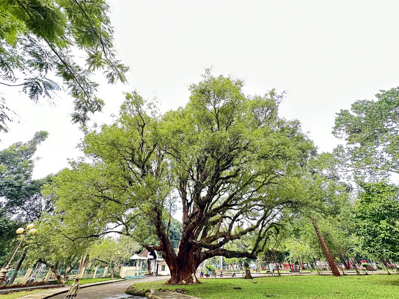 Bảo tàng Đắk Lắk